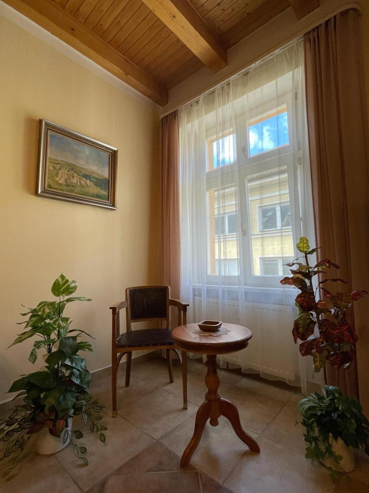 Appartment Centrum Karlovy Vary Ngoại thất bức ảnh